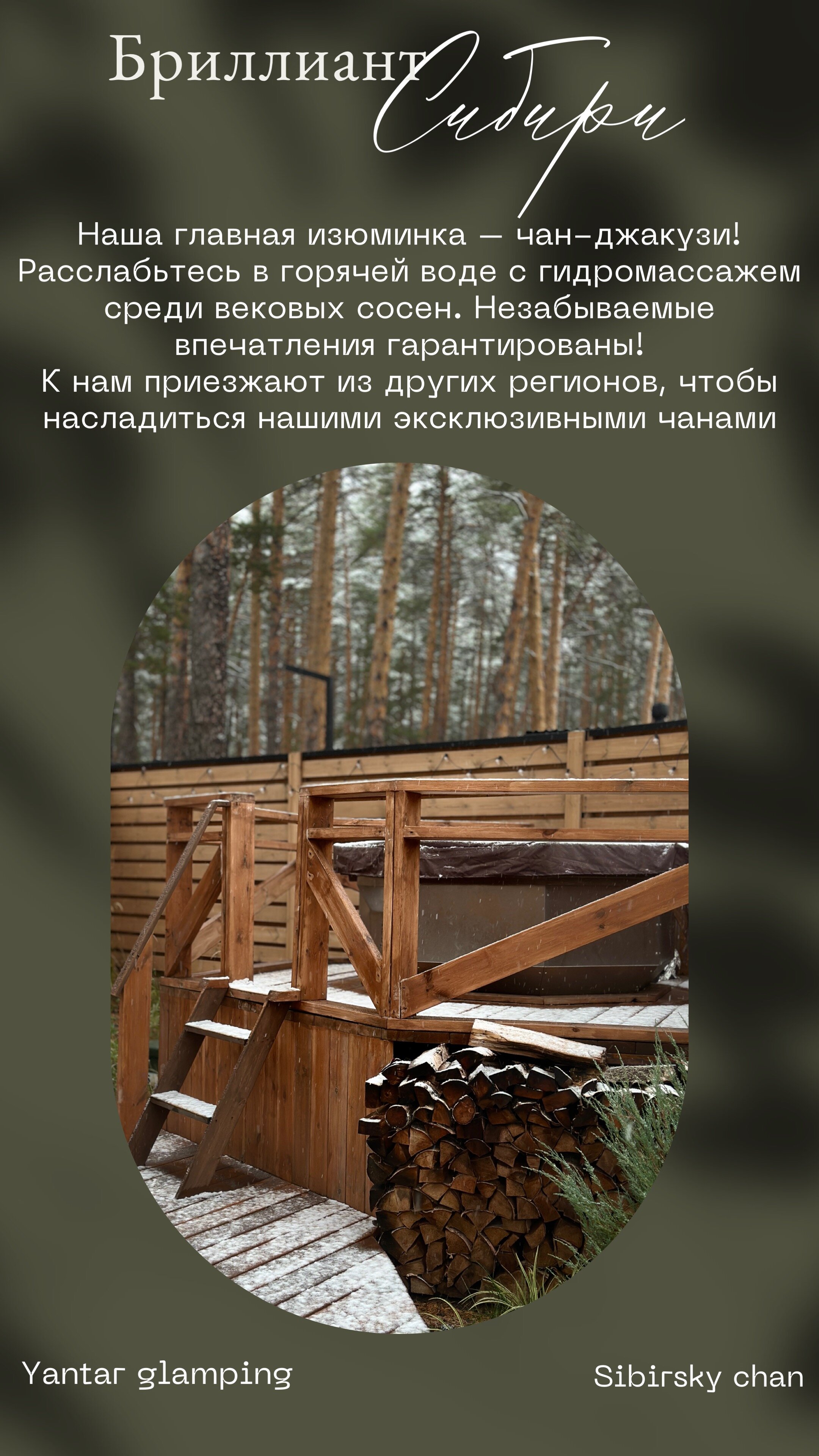 Фото Янтарь