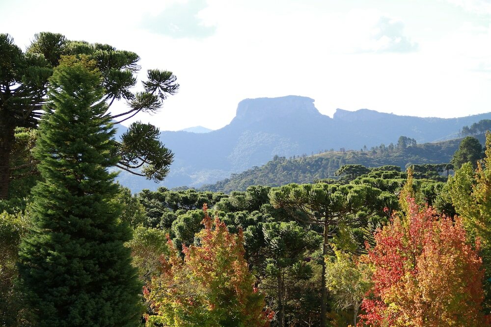 Фото Hotel Vila Inglesa