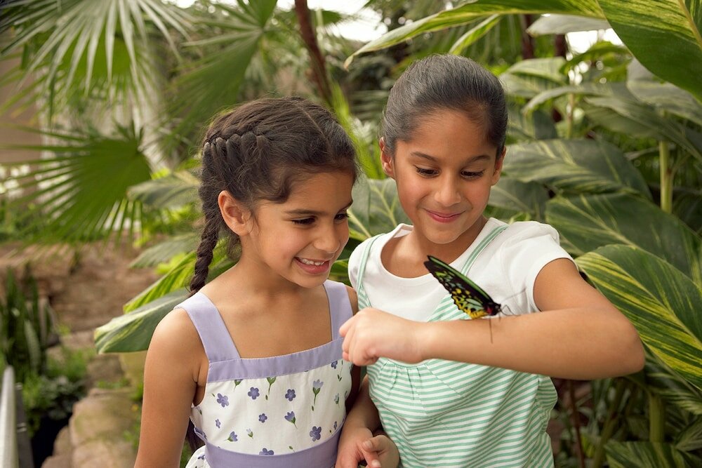 Фото Holiday Inn Express Niagara-On-The-Lake