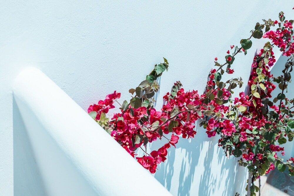 Фото Bohemian Luxury Boutique Hotel - Adults Only