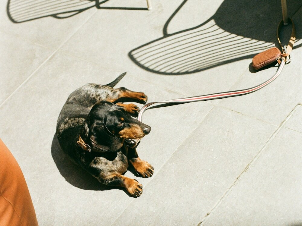 Фото 21 House of Stories Navigli