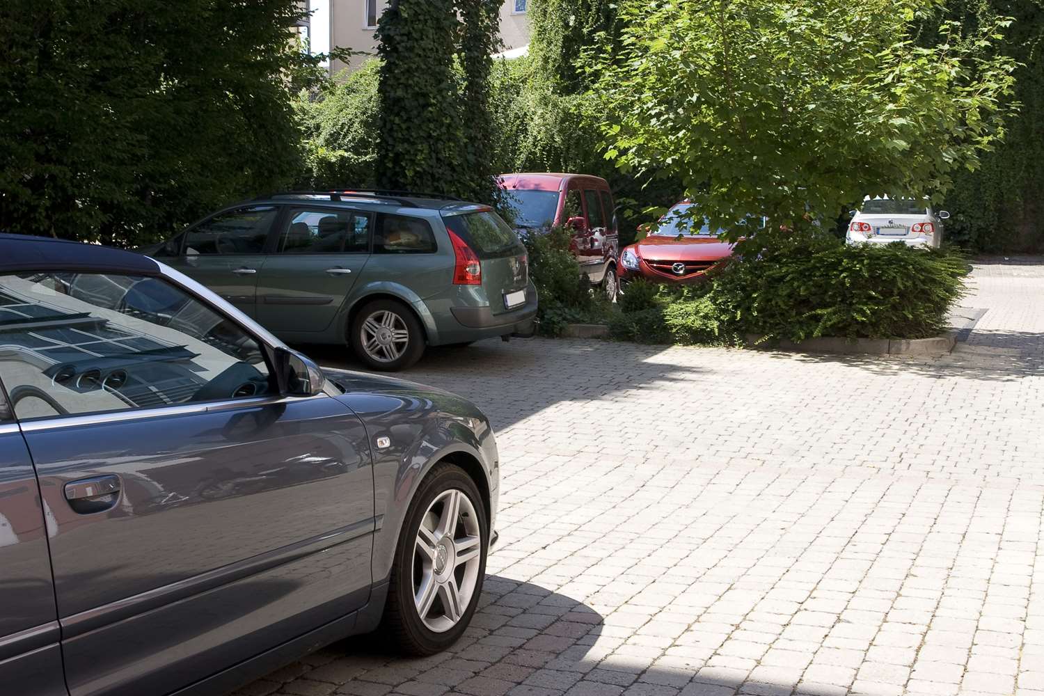 Фото Best Western Plus Hotel Excelsior