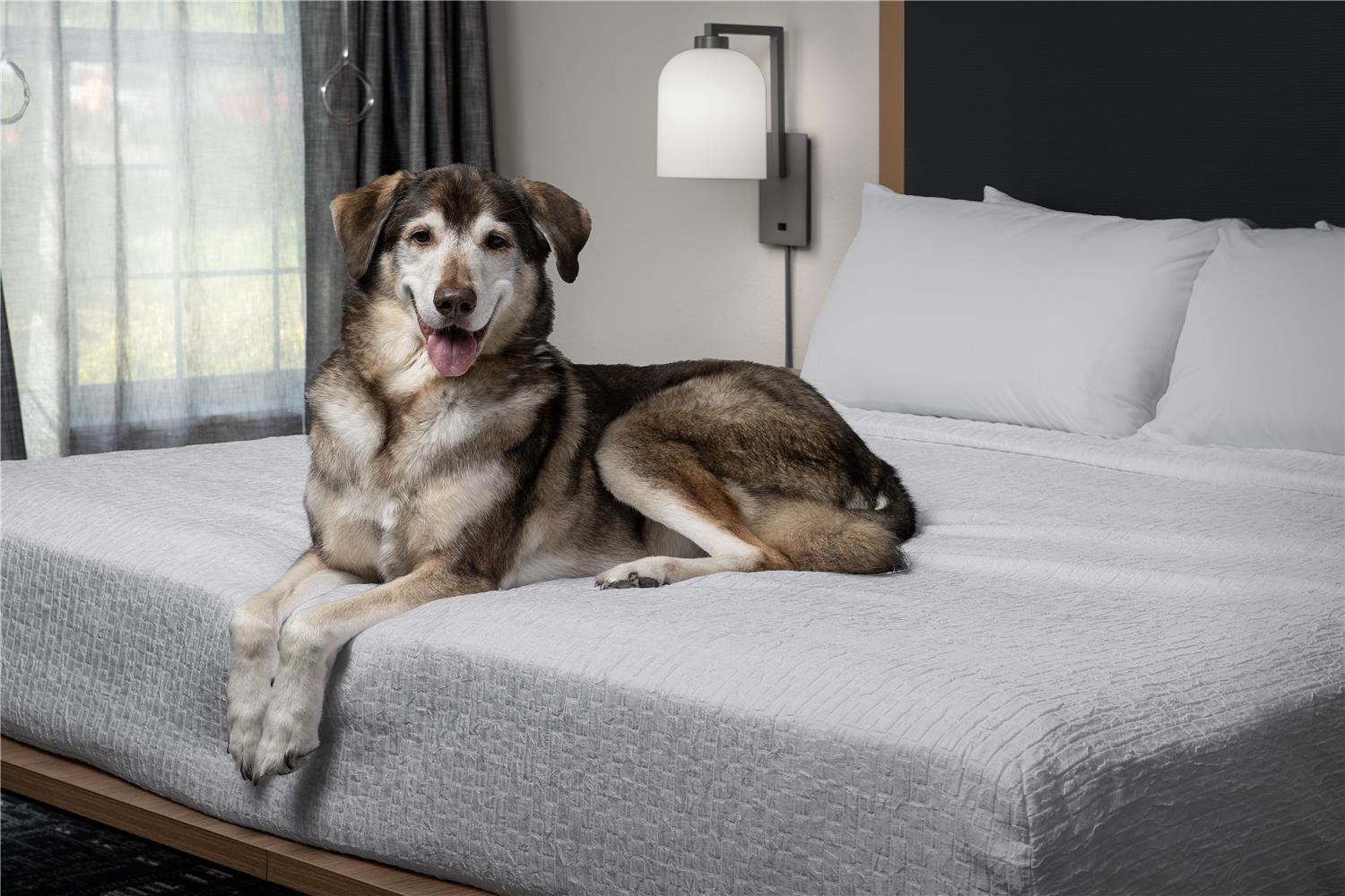 Фото Homewood Suites by Hilton Vancouver-Portland