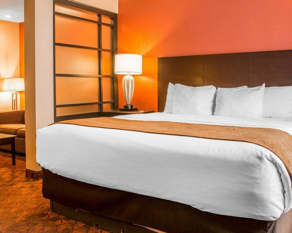 Фото Comfort Inn & Suites and Conference Center