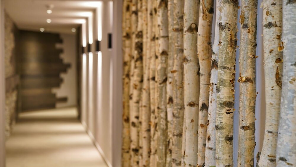 Фото Vila Vita Rosenpark