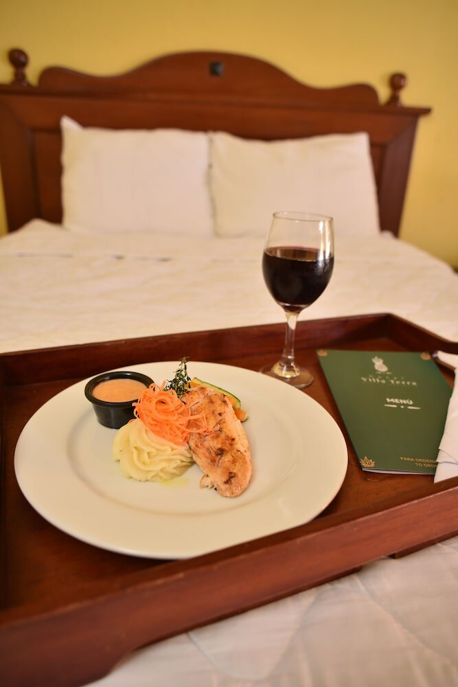 Фото Hotel Villa Terra