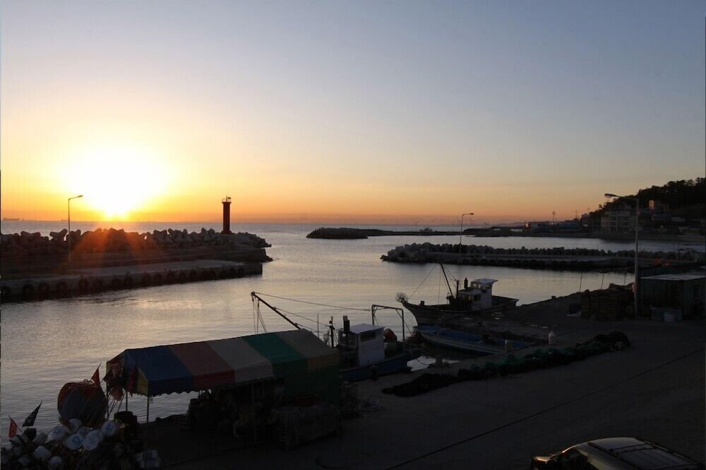 Фото Damoa Pension