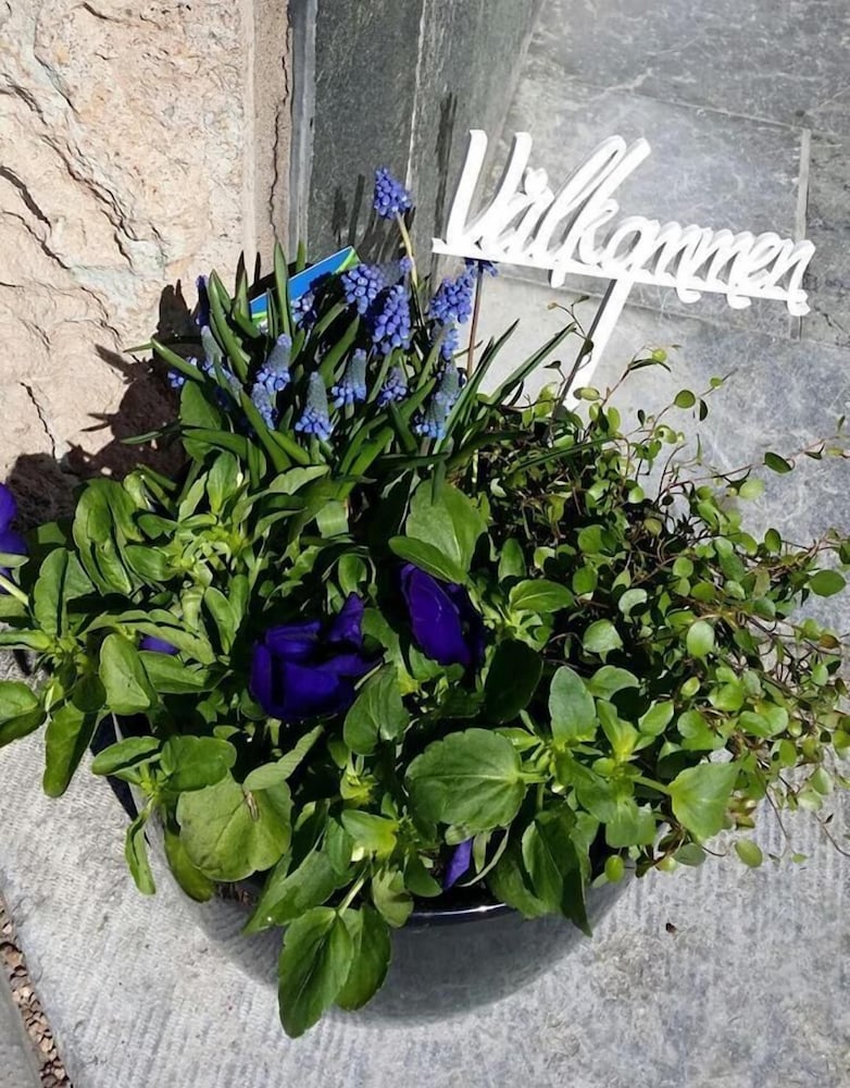 Фото Strand Hotell