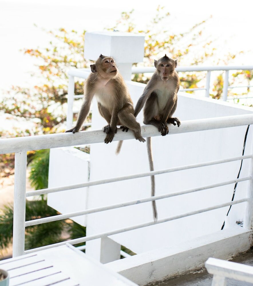 Фото Saravoan Hotel Kep