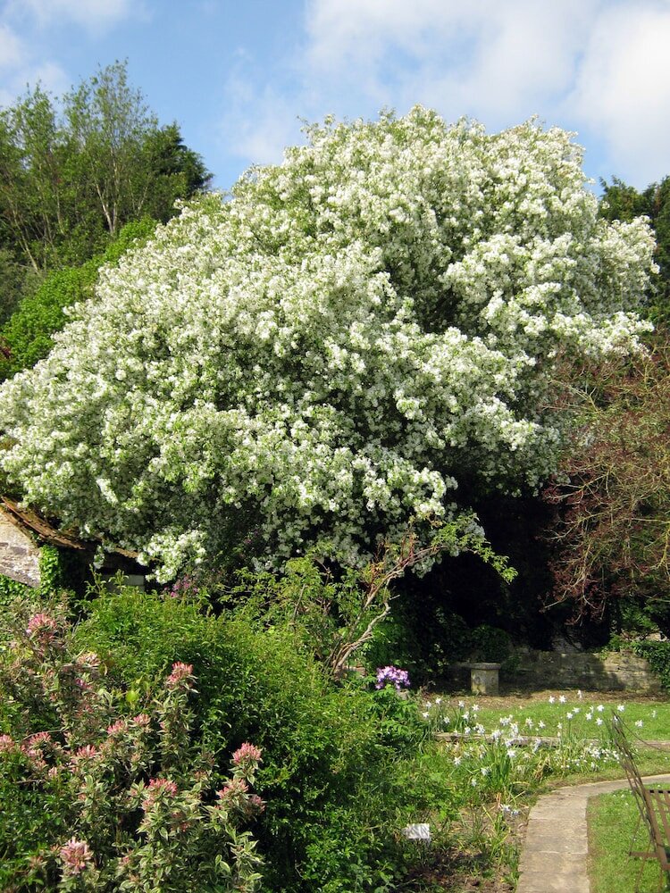 Фото Hollamoor Farm B&b