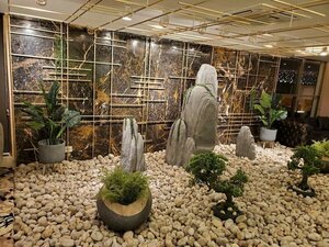 Гостиница Hotel Star Pacific
