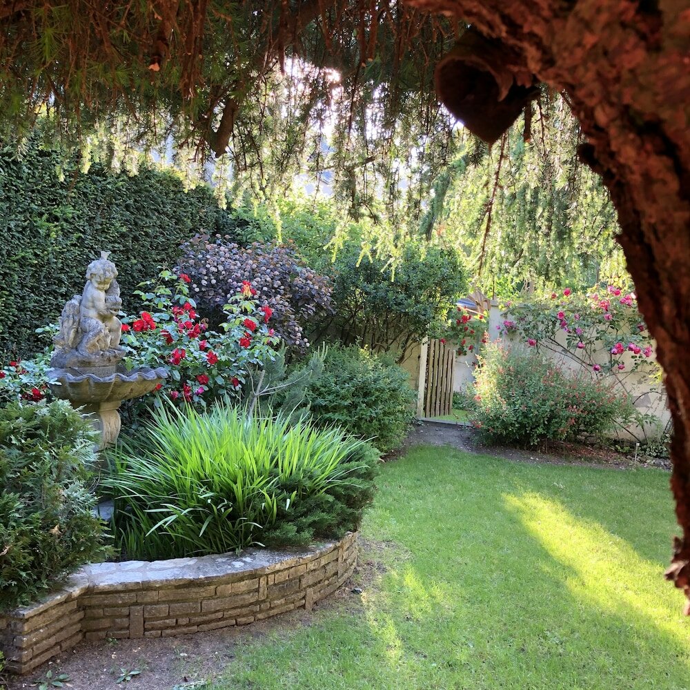 Фото Hotel Des Cedres