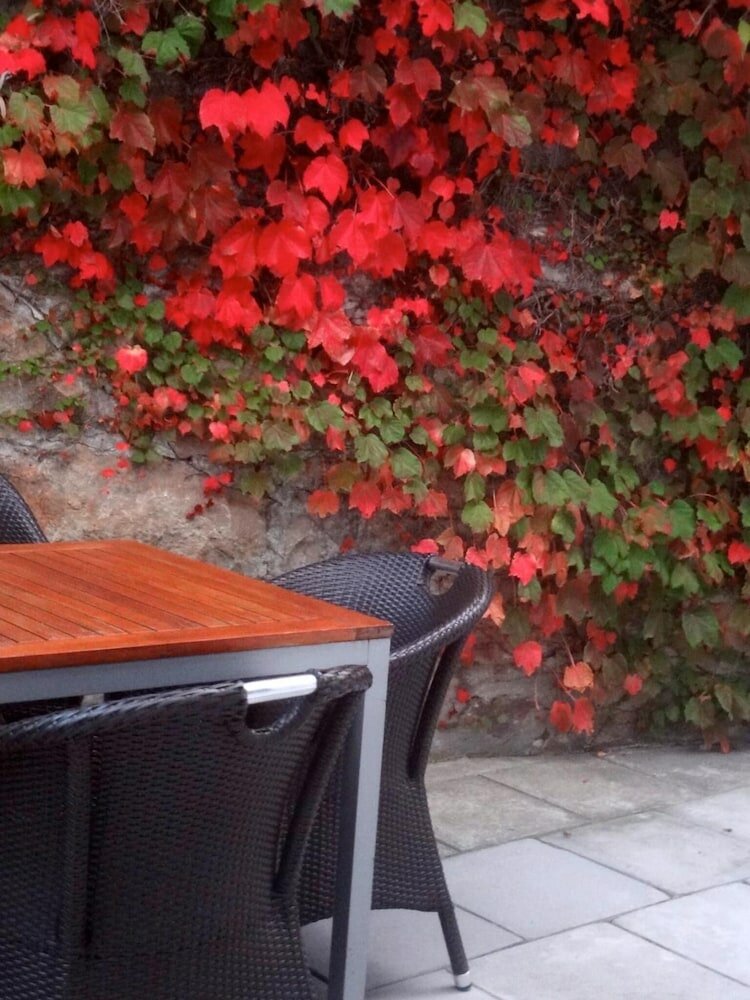 Фото Blue On Blue Bed and Breakfast