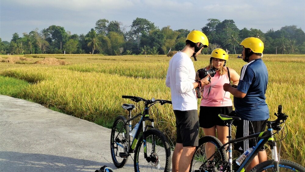 Фото The Calmtree Bungalows