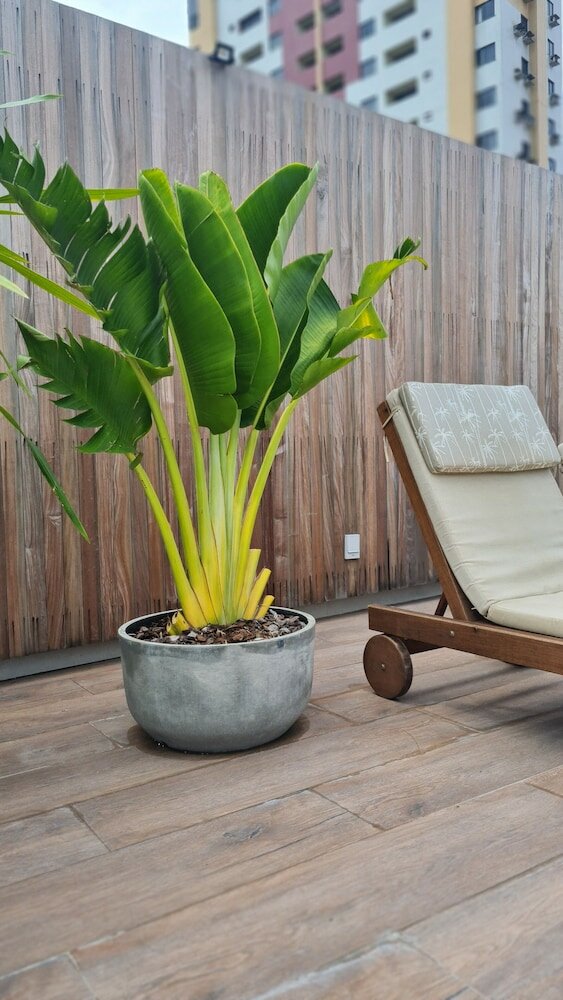 Фото Carppa Hotel