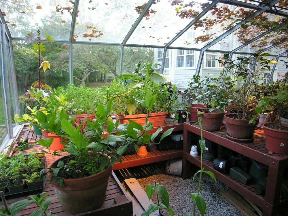 Фото Delano Homestead Bed & Breakfast