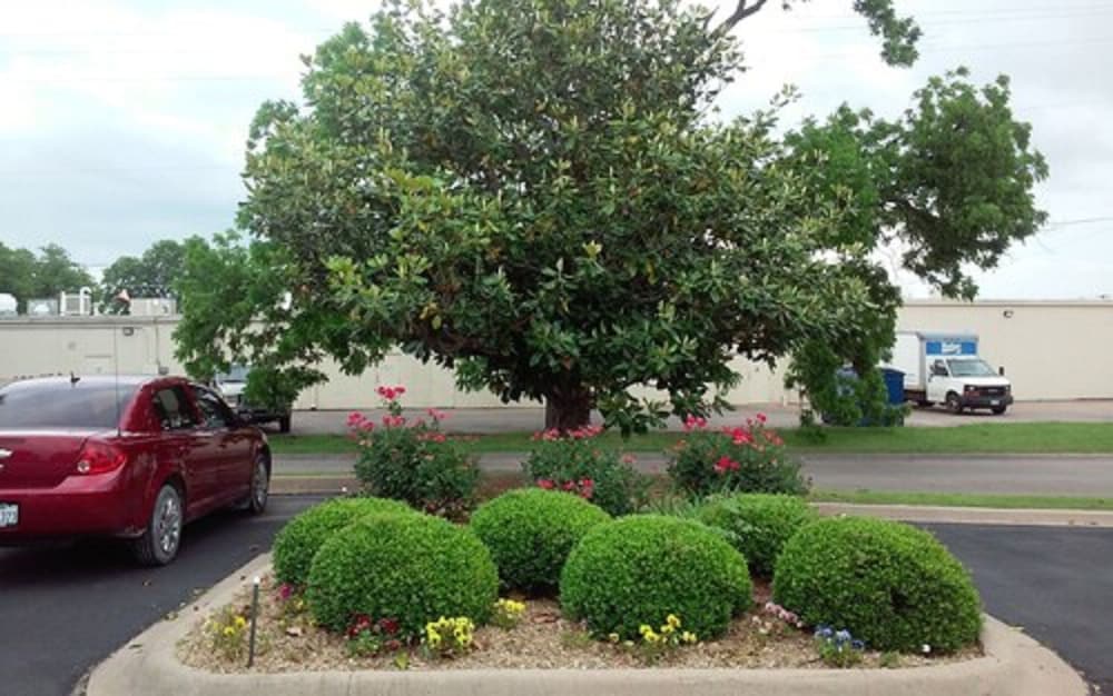 Фото Lake View Inn