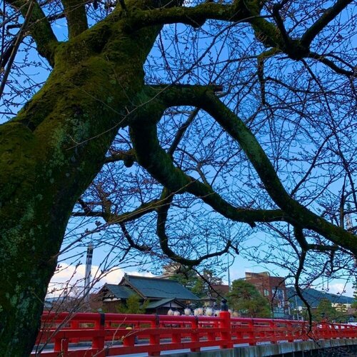 Гостиница Hotel Wood Takayama в Такаяме