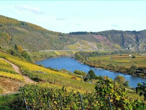 Внешний вид отеля Hotel Cochemer Jung в Кохеме, фото 4