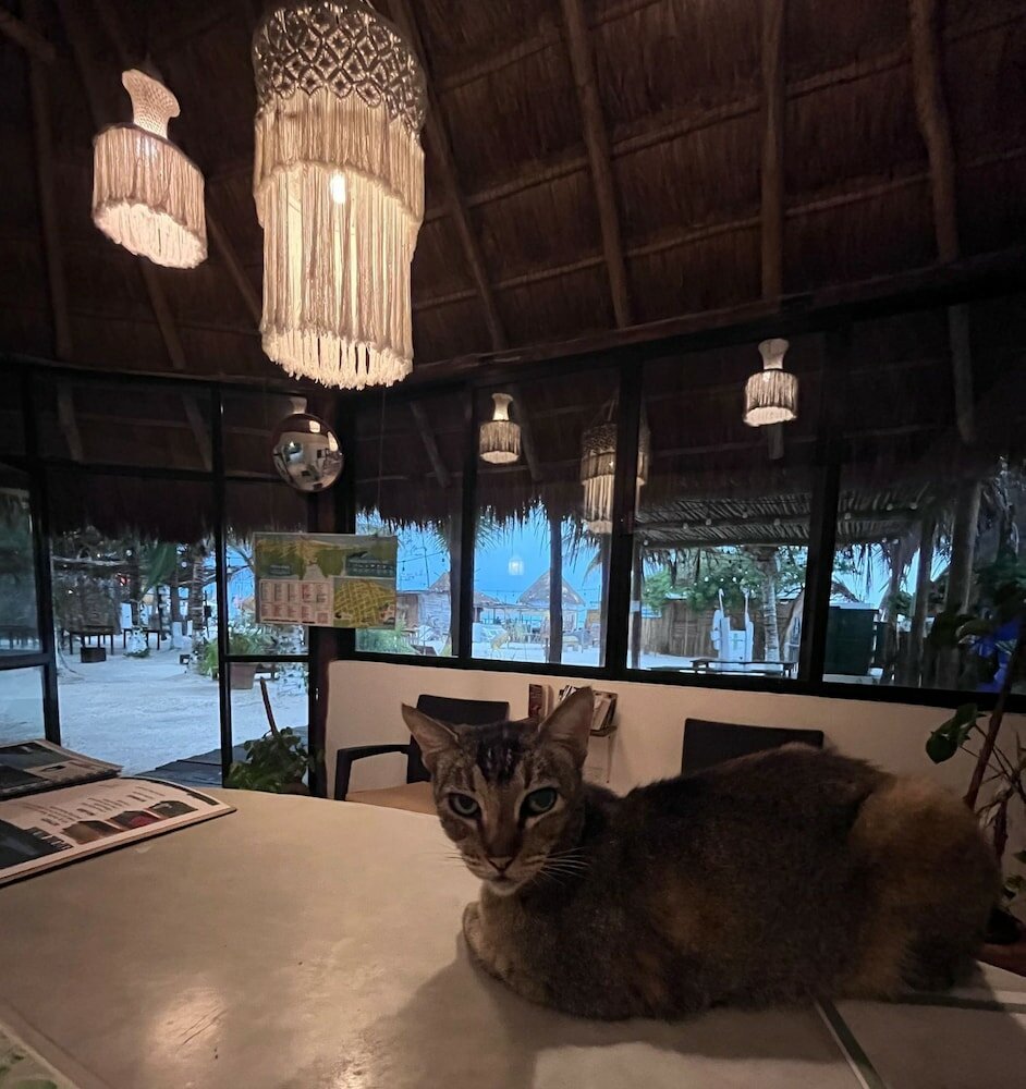 Фото La Diosa Kali Beach Front Hotel