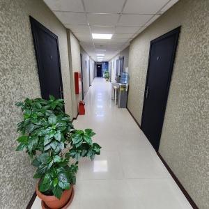 Фото Классик