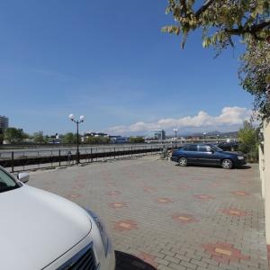 Фото Страна магнолий