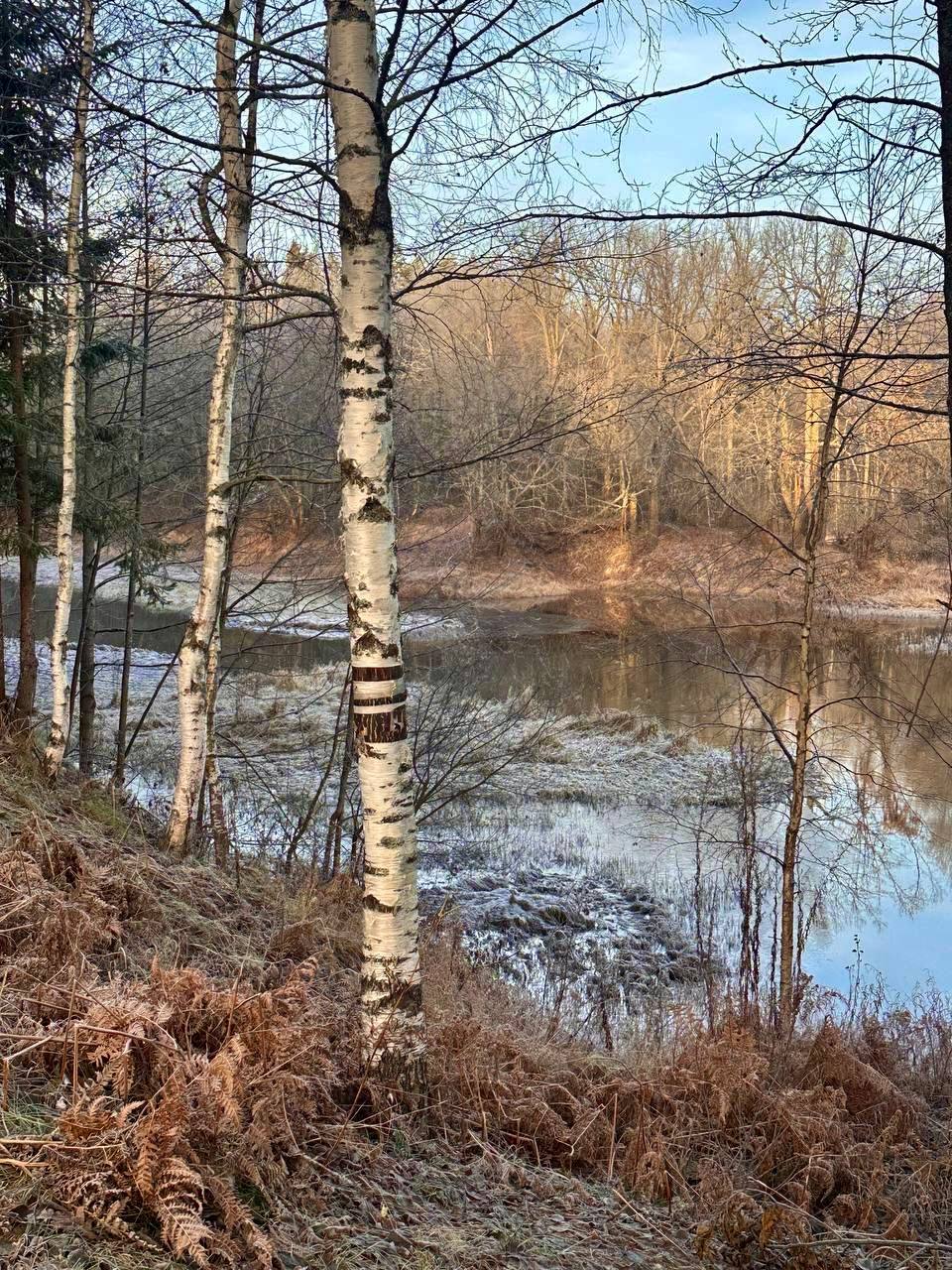 Фото Экопарк Дар