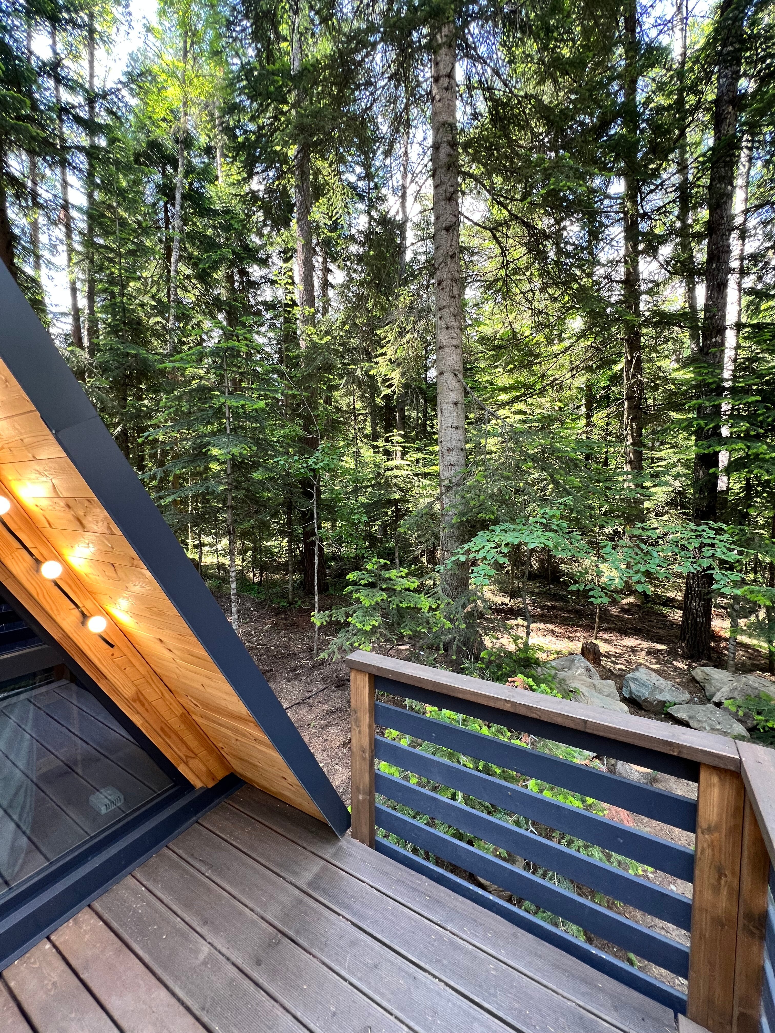 Фото Лесная Заимка