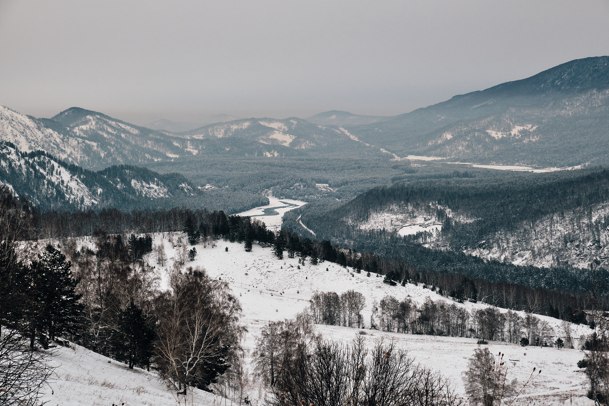 Фото Кедровый берег