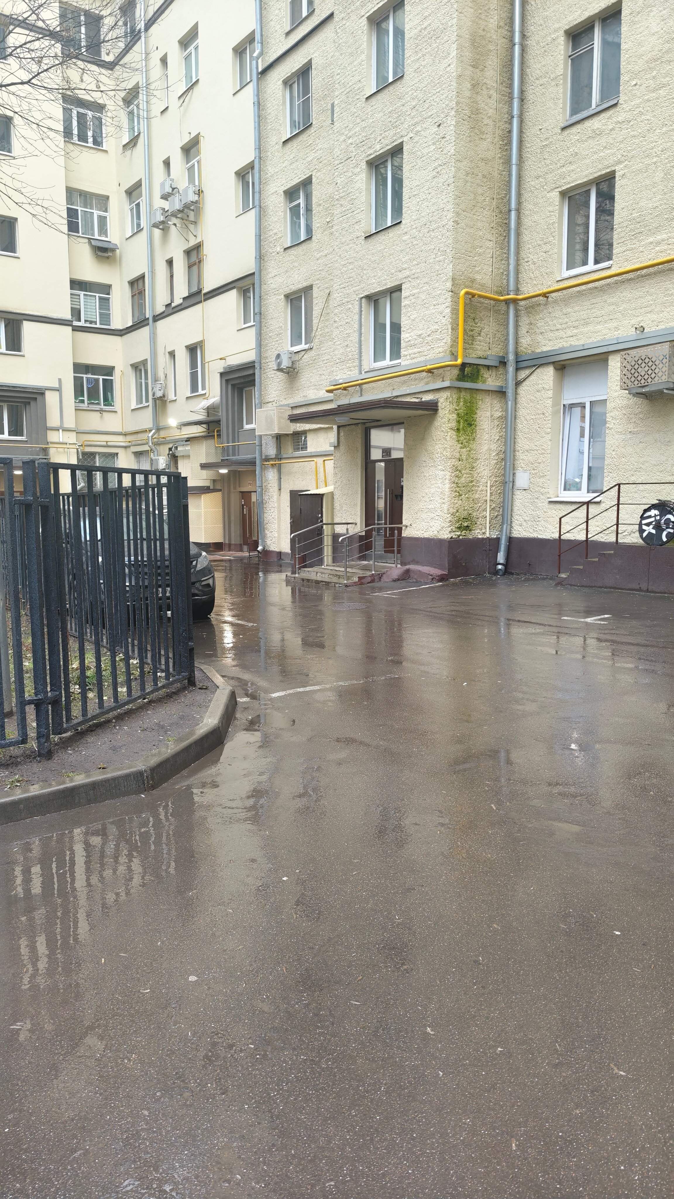 Фото Шаманка