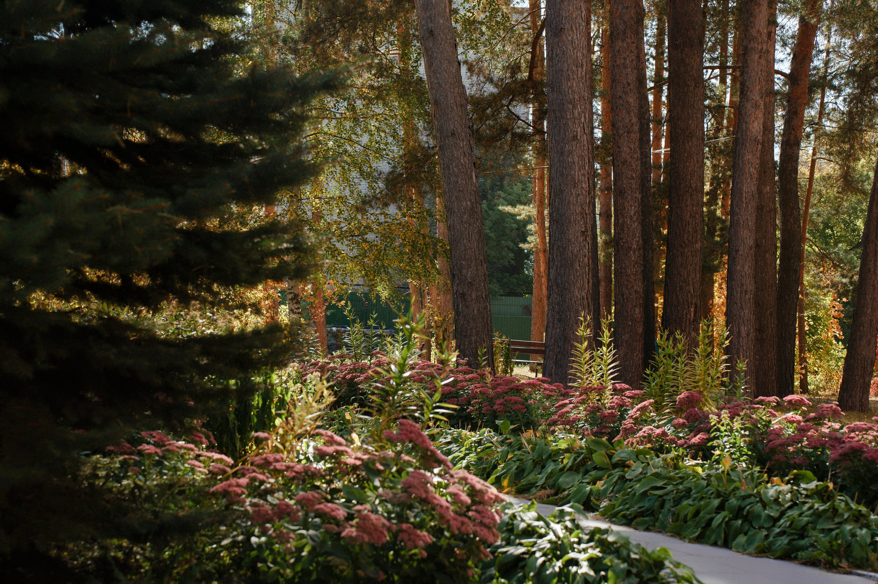 Фото Санаторий им. В. В. Володарского