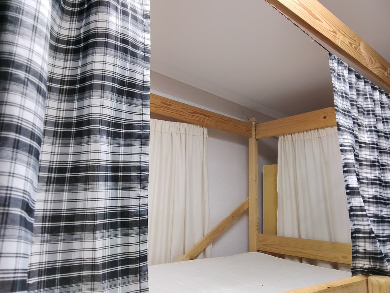 Фото Клевер