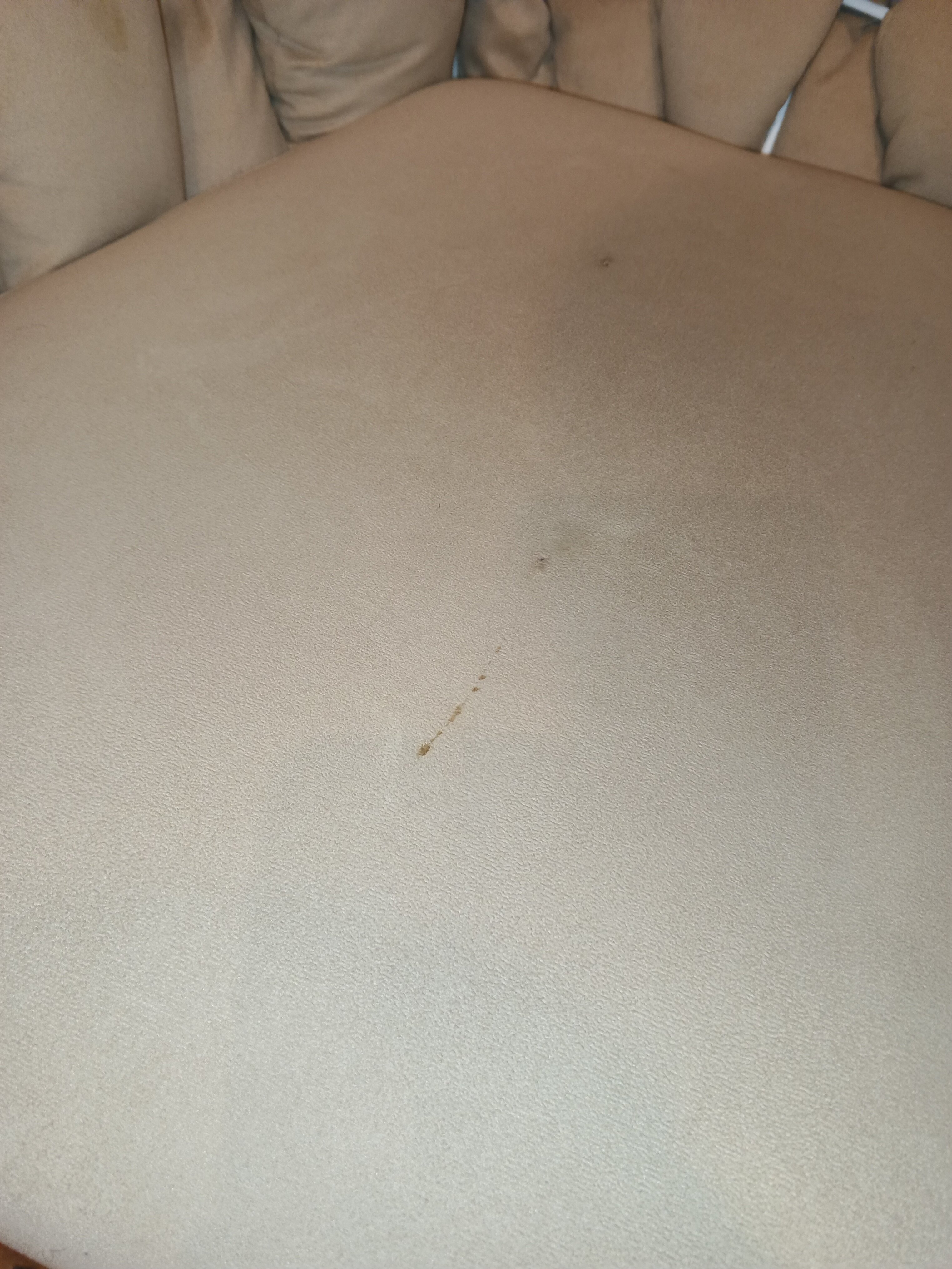 Фото Надежда