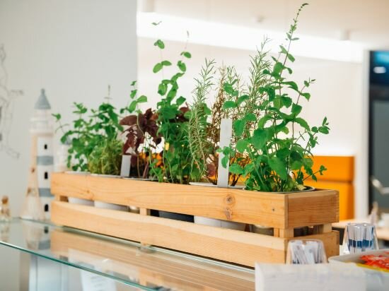 Фото MyNext - Hotel Leo