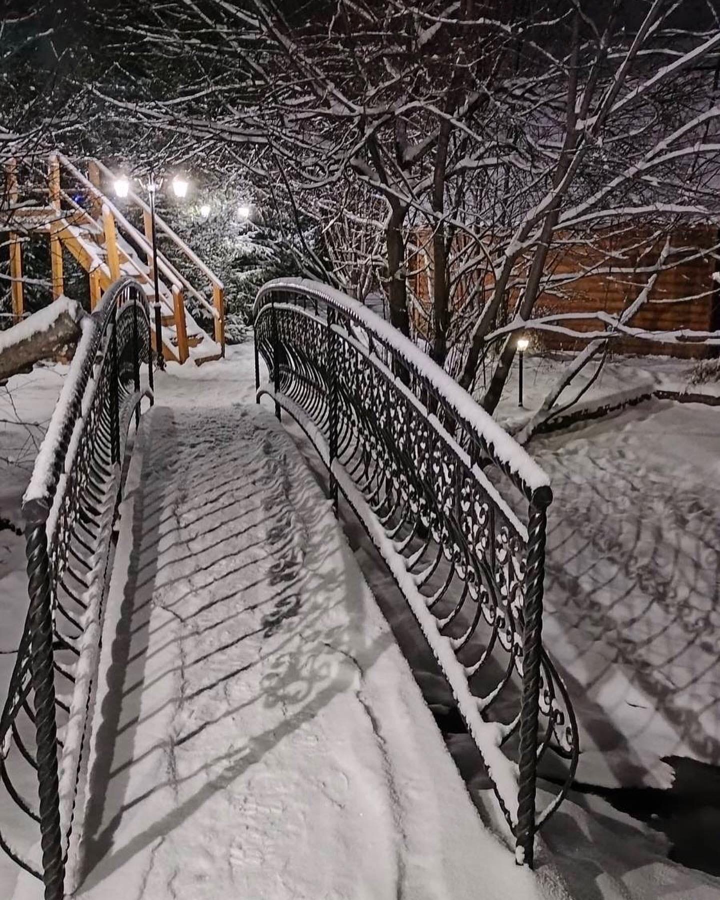 Фото Еловое