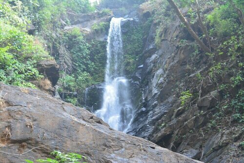 Гостиница Goa Cottages Agonda в Агонде