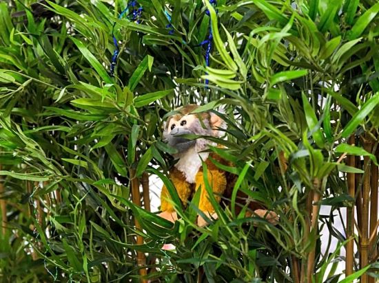 Фото Smart Russell Square Hostel