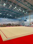 Центр гимнастики (Mashinostroiteley Street, 55), club deportivo, sección