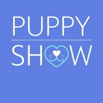 Puppyshow.ru (Iskrovsky Avenue, 22), point of delivery