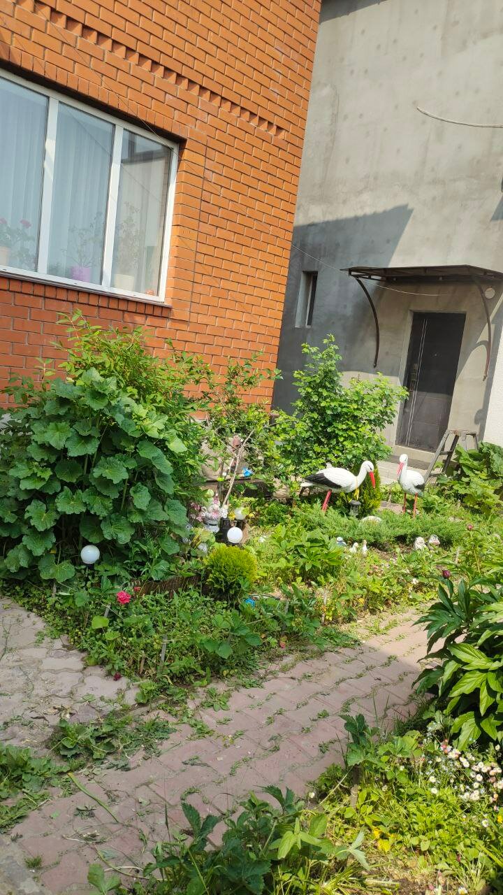 Фото Жилые комнаты Комильфо