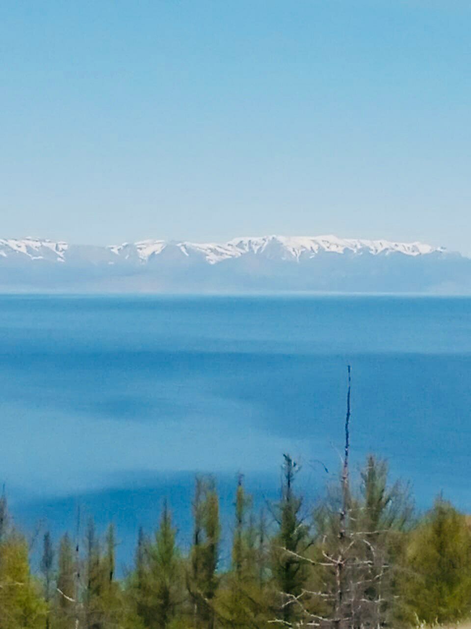 Фото Пилигрим