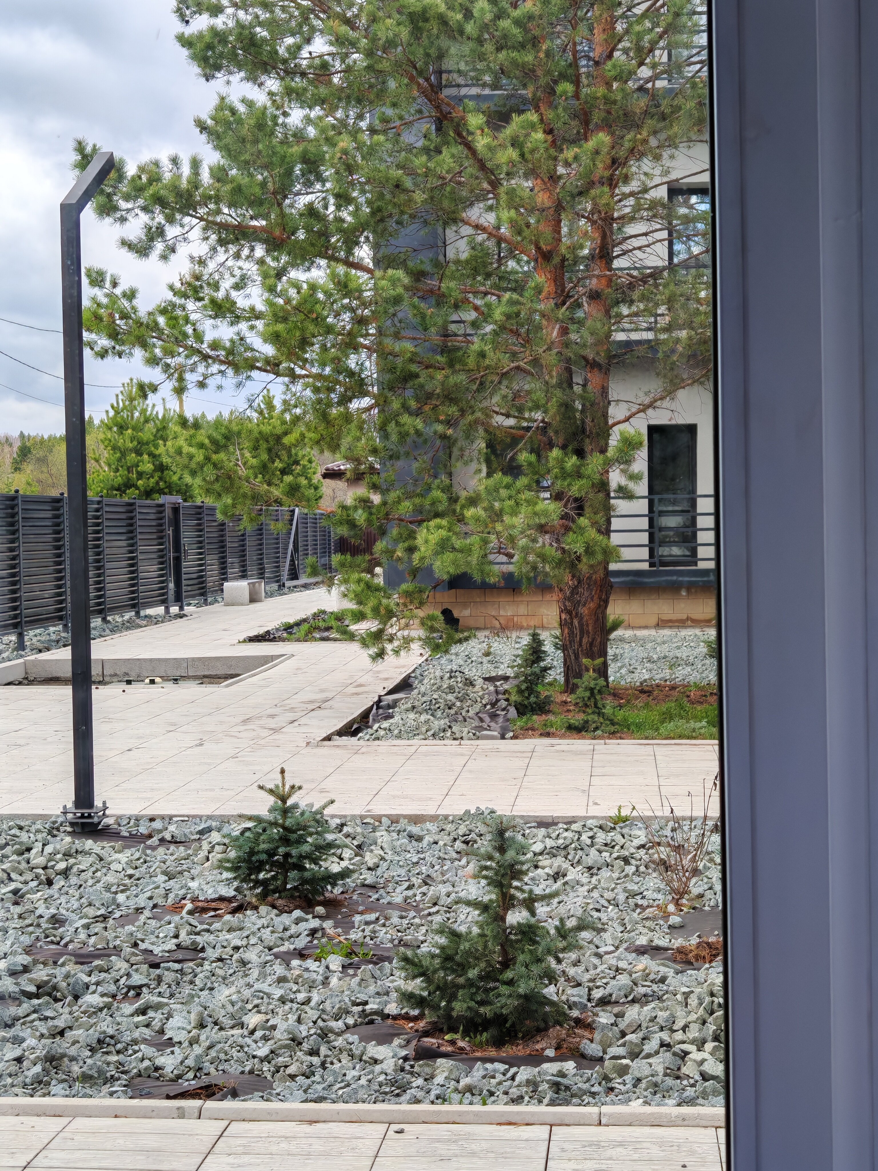 Фото Малинки