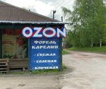 Форель Карелии (derevnya Kavgolovo, Yuzhnaya ulitsa, 2Б), pescados y mariscos