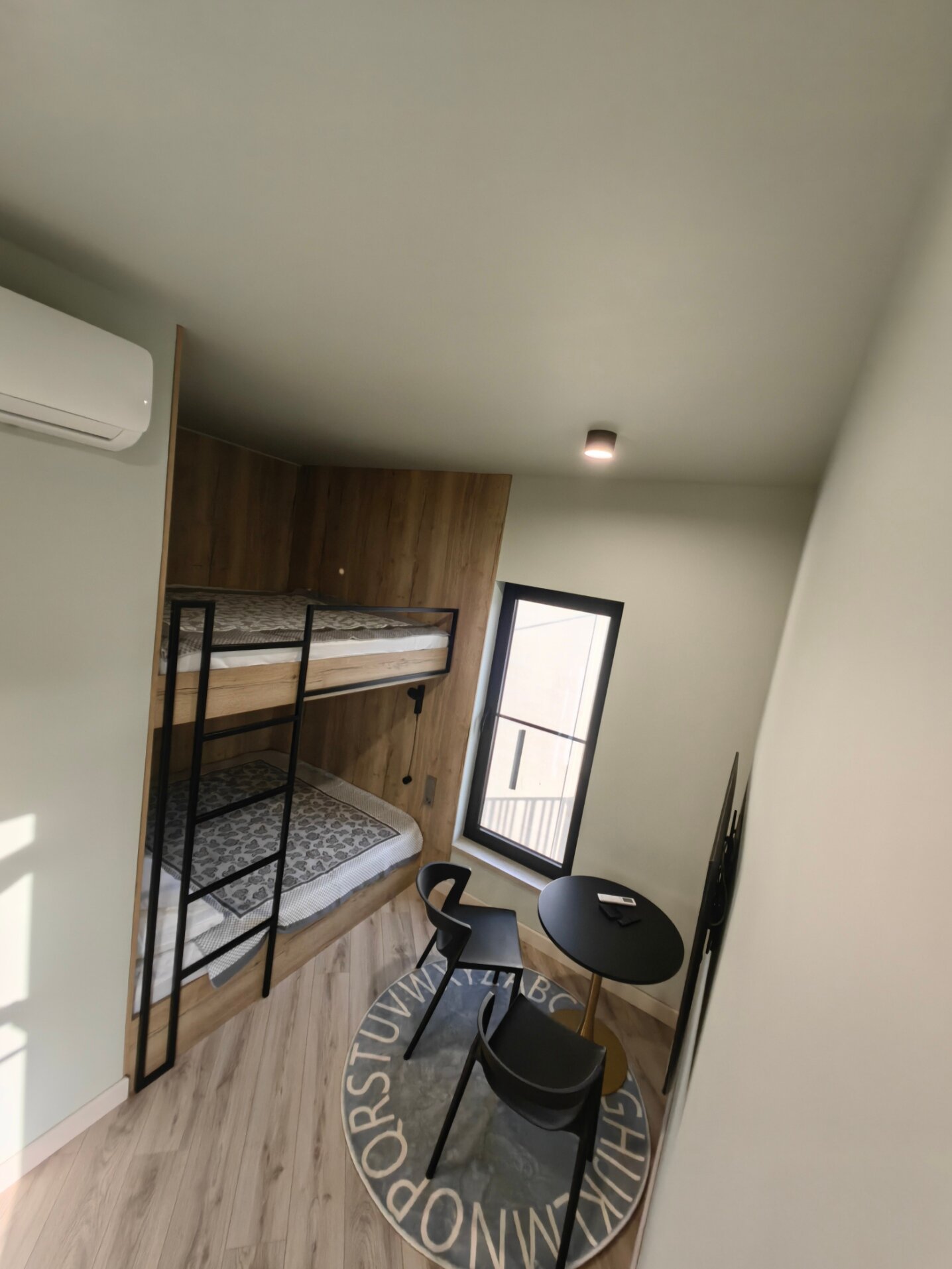 Фото Павлония