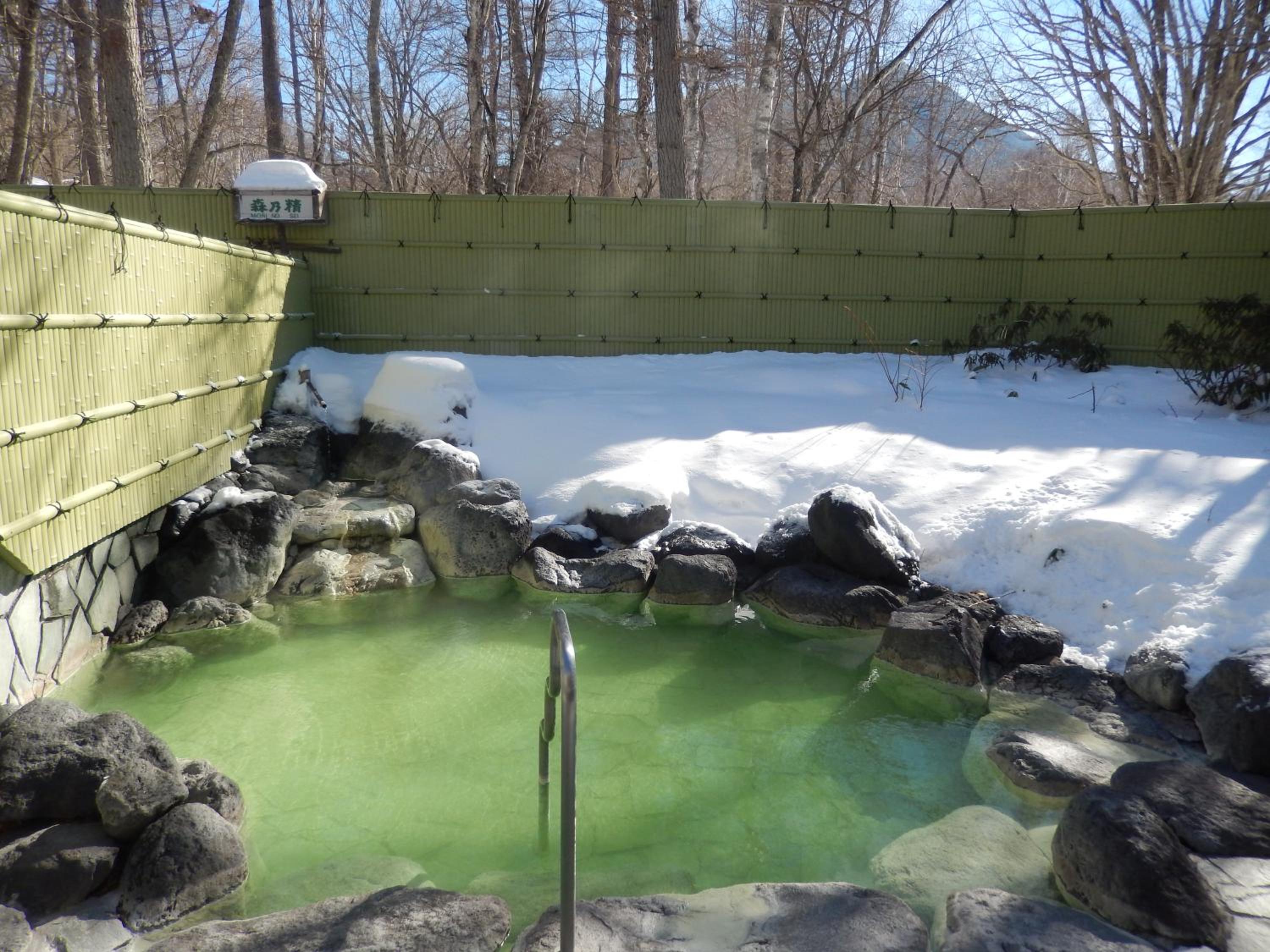 Фото Nikko Astraea Hotel