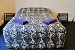 Гостиница Brisbane Manor Hotel