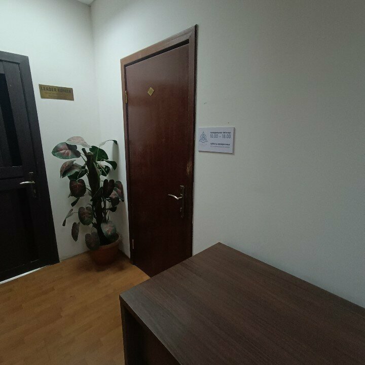 Insulation works Sapa Insulation, Astana, photo