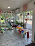 Цветик (Kemerovo — Kuzbass Region, Beryozovskiy, Komsomolskiy bulvar), gift and souvenir shop