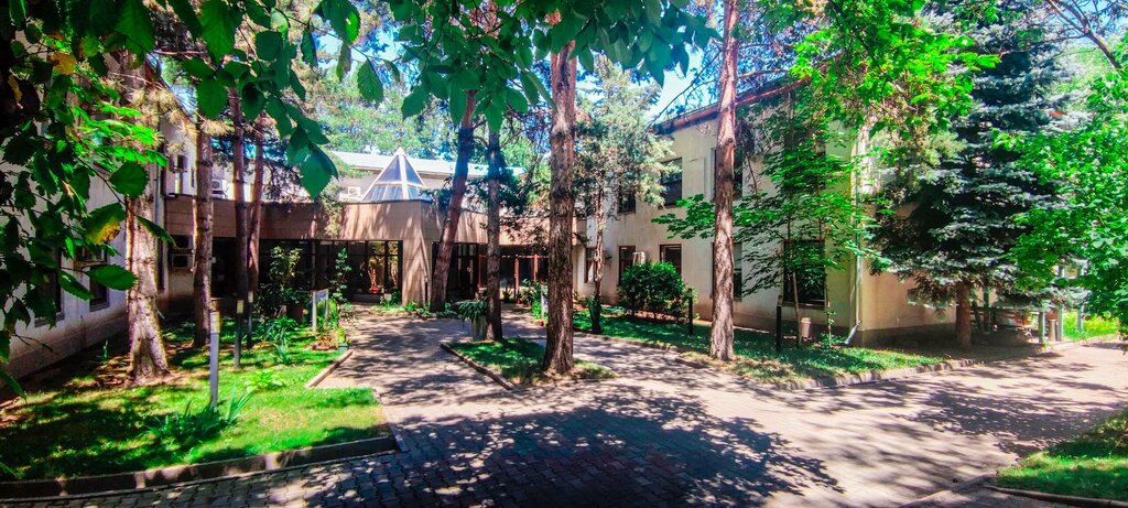 Trucks Neotrailer, Almaty, photo