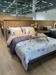Askona (Vsevolozhskiy prospekt, 61), mattresses
